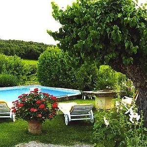 Le Petit Champ , Buisson France